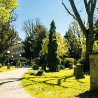 Ein sonniger Friedhof mit grünen Bäumen, Bänken und einem gepflasterten Weg. Im Hintergrund ist ein Gebäude zu sehen., © Stuttgart-Marketing GmbH, Sarah Schmid Ein sonniger Friedhof mit grünen Bäumen, Bänken und einem gepflasterten Weg. Im Hintergrund ist ein Gebäude zu sehen., © Stuttgart-Marketing GmbH, Sarah Schmid