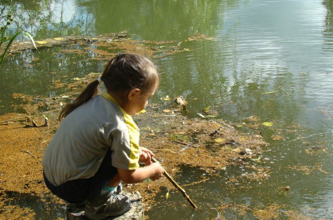 Ein Kind sitzt auf einem Baumstumpf am Teichufer und erkundet mit einem Stock das Wasser. Die Umgebung ist grün und ruhig., © Stadt Nürtingen Ein Kind sitzt auf einem Baumstumpf am Teichufer und erkundet mit einem Stock das Wasser. Die Umgebung ist grün und ruhig., © Stadt Nürtingen