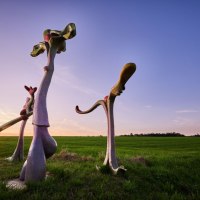 Drei abstrakte Skulpturen stehen auf einer grünen Wiese, während die Sonne am Horizont untergeht. Der Himmel ist klar und blau., © Natur.Nah. Schönbuch & Heckengäu