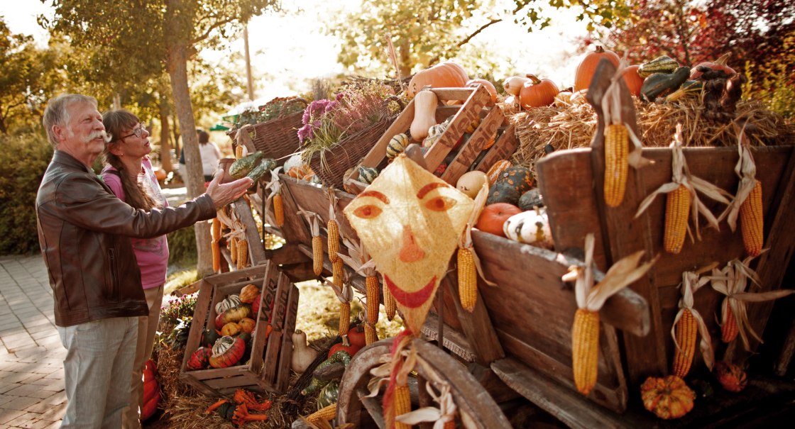 Ein älteres Paar betrachtet einen herbstlich geschmückten Wagen mit Kürbissen, Maiskolben und Stroh. Die Szene ist in warmes Sonnenlicht getaucht., © Erlebnispark Tripsdrill