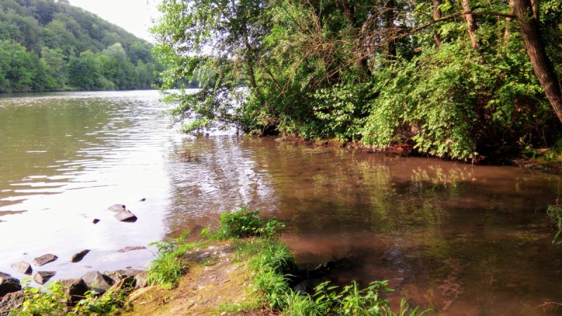 Mündung des Zipfelbachs in einen größeren Fluss, umgeben von Bäumen und grüner Vegetation., © Hans Suckowski