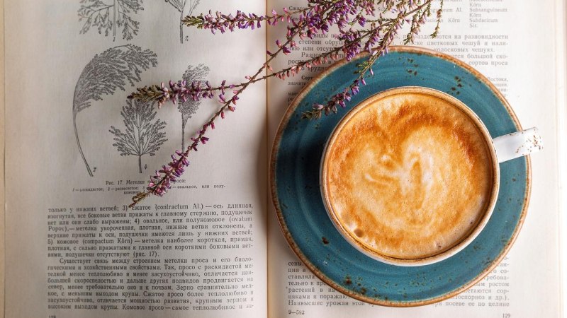 Eine Tasse Kaffee auf einem blauen Unterteller steht auf einem aufgeschlagenen Buch. Daneben liegen Lavendelzweige., © pixabay Eine Tasse Kaffee auf einem blauen Unterteller steht auf einem aufgeschlagenen Buch. Daneben liegen Lavendelzweige., © pixabay
