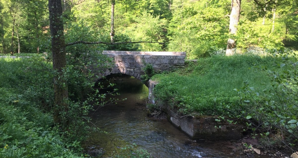 Eine kleine Steinbrücke überspannt einen Bach in einem grünen, bewaldeten Gebiet. Die Umgebung ist dicht bewachsen und sonnig., © www.pro-cycl.de Eine kleine Steinbrücke überspannt einen Bach in einem grünen, bewaldeten Gebiet. Die Umgebung ist dicht bewachsen und sonnig., © www.pro-cycl.de