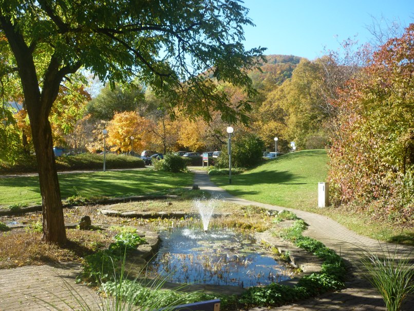 Ein herbstlicher Park mit bunten B&auml;umen, einem kleinen Teich mit Springbrunnen und einem gepflasterten Weg. Die Sonne scheint hell am blauen Himmel.
