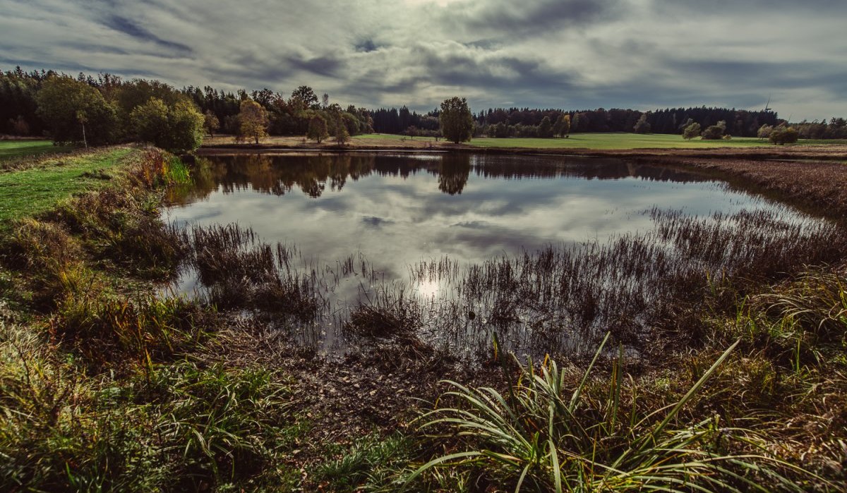 Mystische Stimmung an den Weiherwiesen, &copy; Tourismus Ostalb, Fotograf: Christian Frumolt