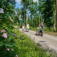 Eine Familie spaziert auf einem Waldweg. Ein Mann im Rollstuhl wird von einer Frau begleitet. Blumen und B&auml;ume umgeben den Weg., &copy; Natur.Nah. Sch&ouml;nbuch & Heckeng&auml;u