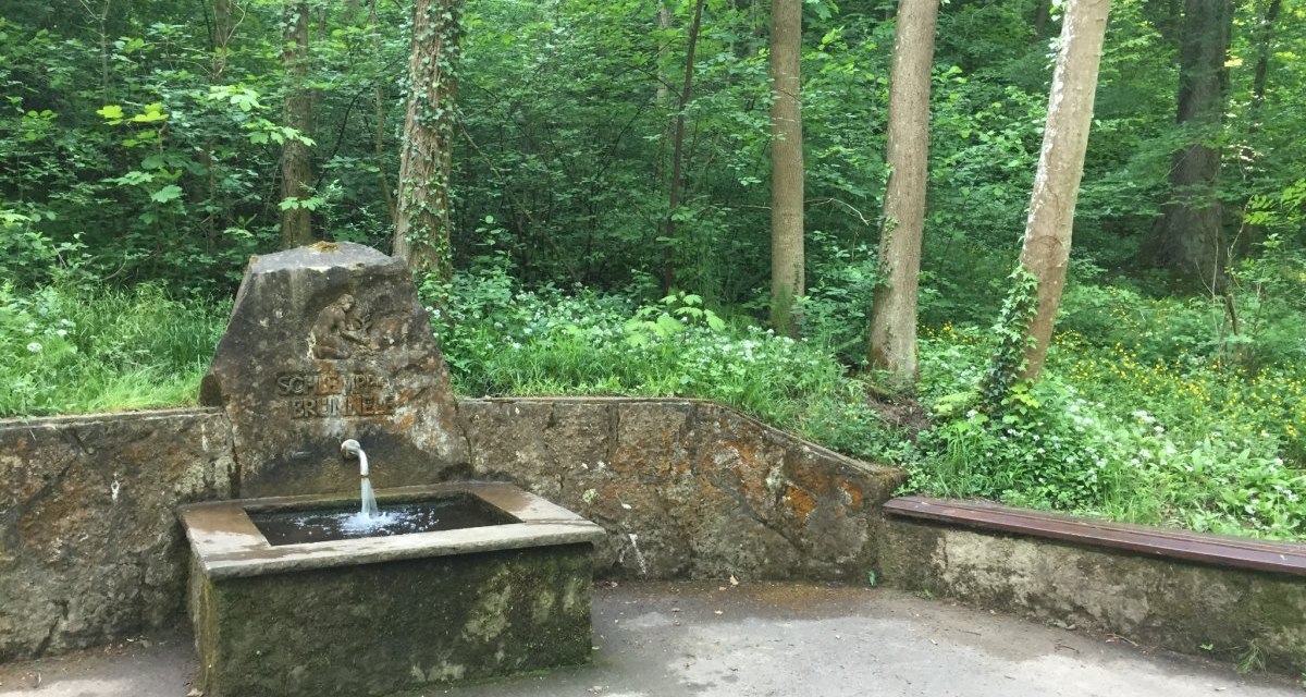 Ein steinerner Brunnen mit fließendem Wasser im Wald, umgeben von Bäumen und Pflanzen. Auf dem Brunnen steht 'Schlempp-Brünnle'., © www.pro-cycl.de Ein steinerner Brunnen mit fließendem Wasser im Wald, umgeben von Bäumen und Pflanzen. Auf dem Brunnen steht 'Schlempp-Brünnle'., © www.pro-cycl.de