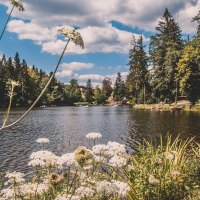 Ein idyllischer See mit weißen Blüten im Vordergrund, umgeben von Bäumen und einem blauen Himmel mit Wolken. Menschen entspannen am Ufer., © Stadt Welzheim