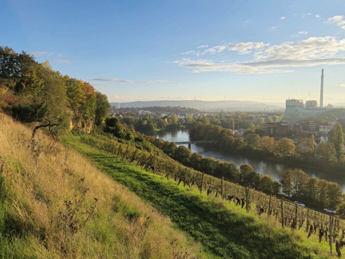Hügelige Landschaft mit Weinreben, Fluss und Stadt im Hintergrund bei Sonnenaufgang., © Cool-Tours StattReisen Hügelige Landschaft mit Weinreben, Fluss und Stadt im Hintergrund bei Sonnenaufgang., © Cool-Tours StattReisen