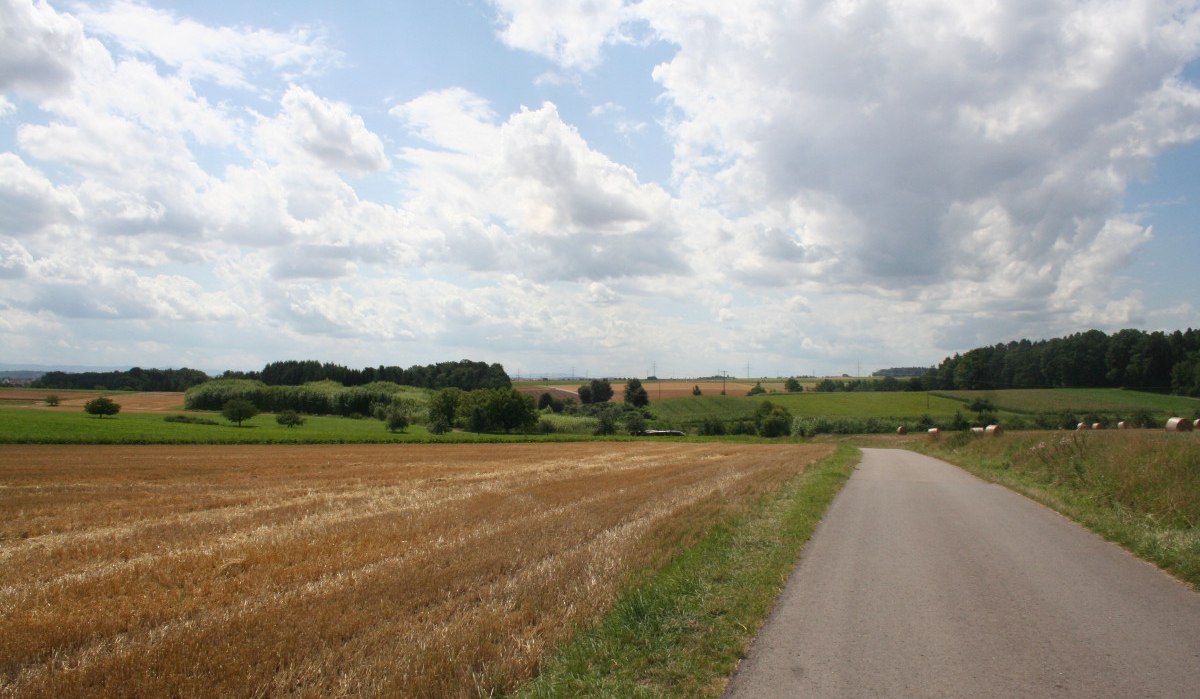 Ein Feldweg führt durch eine ländliche Landschaft mit Feldern und Bäumen unter einem bewölkten Himmel., © Natur.Nah. Schönbuch & Heckengäu Ein Feldweg führt durch eine ländliche Landschaft mit Feldern und Bäumen unter einem bewölkten Himmel., © Natur.Nah. Schönbuch & Heckengäu