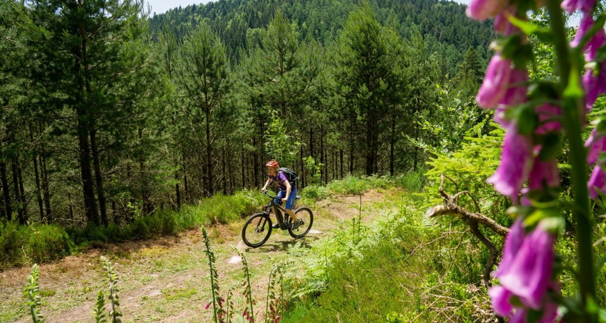 Unterwegs mit dem E-Mountainbike auf schönen Waldwegen mit Aussicht, © Nördlicher Schwarzwald Unterwegs mit dem E-Mountainbike auf schönen Waldwegen mit Aussicht, © Nördlicher Schwarzwald