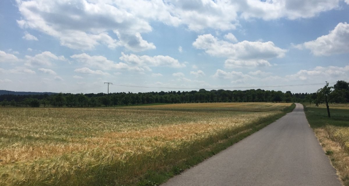 Ein l&auml;ndlicher Weg verl&auml;uft neben einem Getreidefeld unter einem blauen Himmel mit wei&szlig;en Wolken., &copy; www.pro-cycl.de