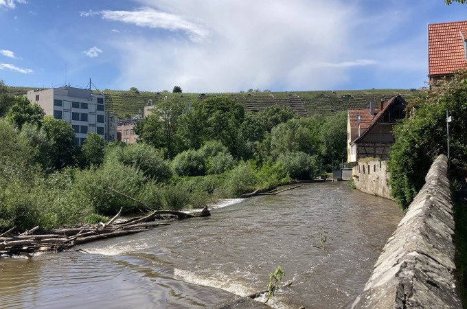 Ein Fluss flie&szlig;t durch Besigheim, ges&auml;umt von Geb&auml;uden und &uuml;ppiger Vegetation. Im Hintergrund sind Weinberge zu sehen., &copy; Stadt Besigheim