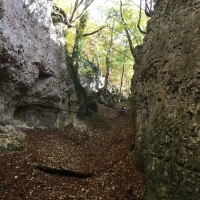 Schmale Schlucht mit steilen Felswänden, bedeckt mit Laub. Ein Wanderer geht durch die Schlucht, umgeben von herbstlichen Bäumen., © Bad Urach Tourismus