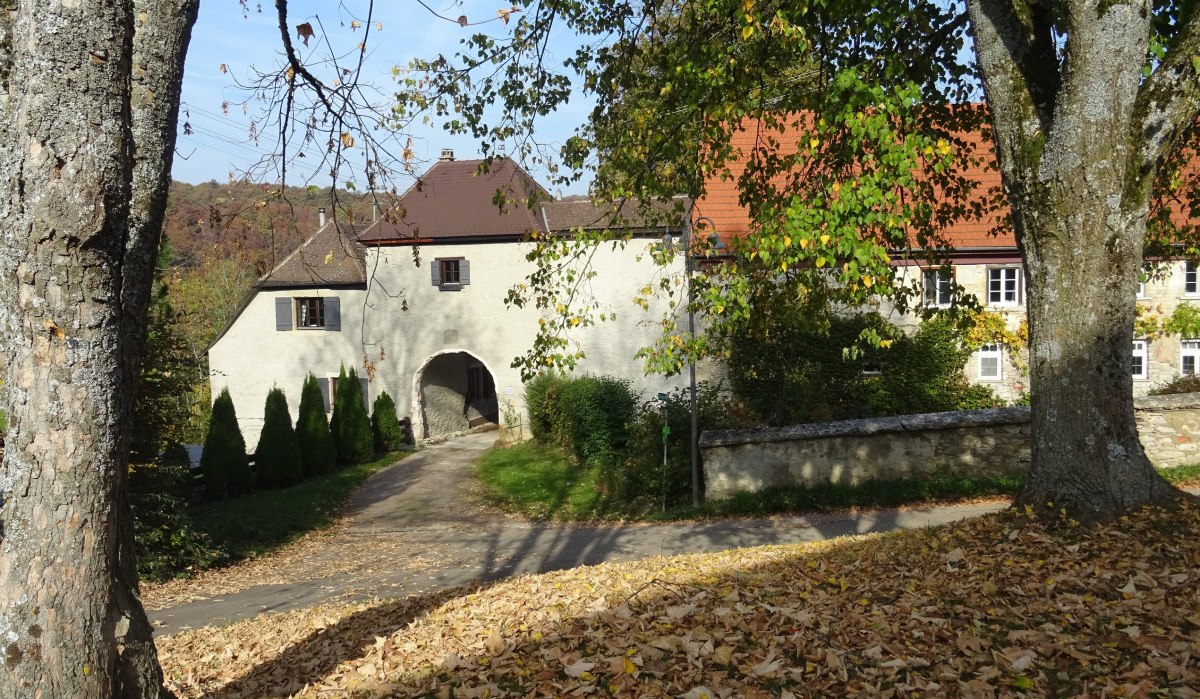 Das ehemalige Schloss von Woellwarth in Lauterburg, umgeben von herbstlichen Bäumen und Laub auf dem Boden., © Foto: Cornelia Steinbach Das ehemalige Schloss von Woellwarth in Lauterburg, umgeben von herbstlichen Bäumen und Laub auf dem Boden., © Foto: Cornelia Steinbach