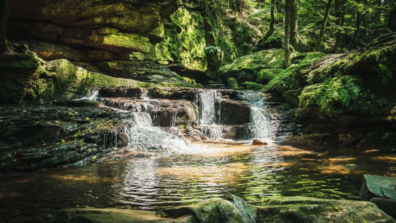 Idyllische Landschaft im Monbachtal, © Freizeit & Tourismus Bad Liebenzell GmbH Idyllische Landschaft im Monbachtal, © Freizeit & Tourismus Bad Liebenzell GmbH