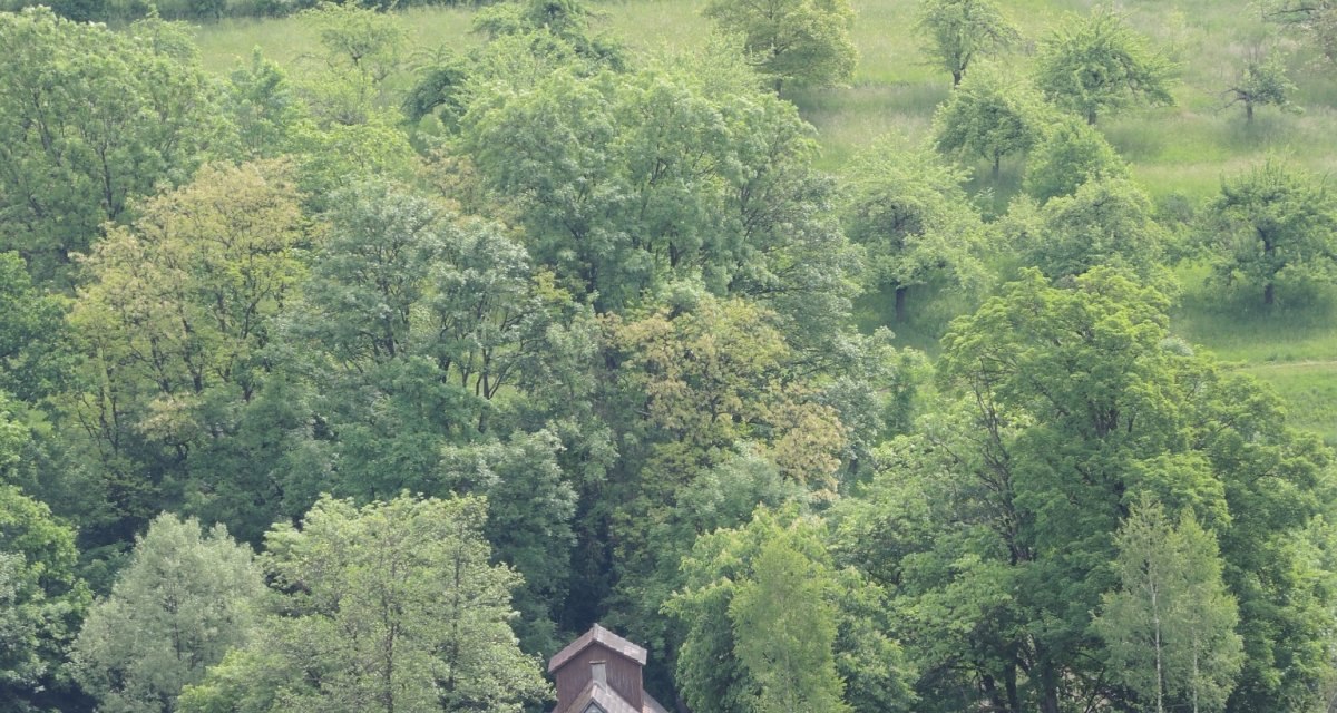 Ein idyllisches Fachwerkhaus eingebettet in eine grüne, hügelige Landschaft mit üppigen Bäumen und Wiesen., © Natur.Nah. Schönbuch & Heckengäu Ein idyllisches Fachwerkhaus eingebettet in eine grüne, hügelige Landschaft mit üppigen Bäumen und Wiesen., © Natur.Nah. Schönbuch & Heckengäu