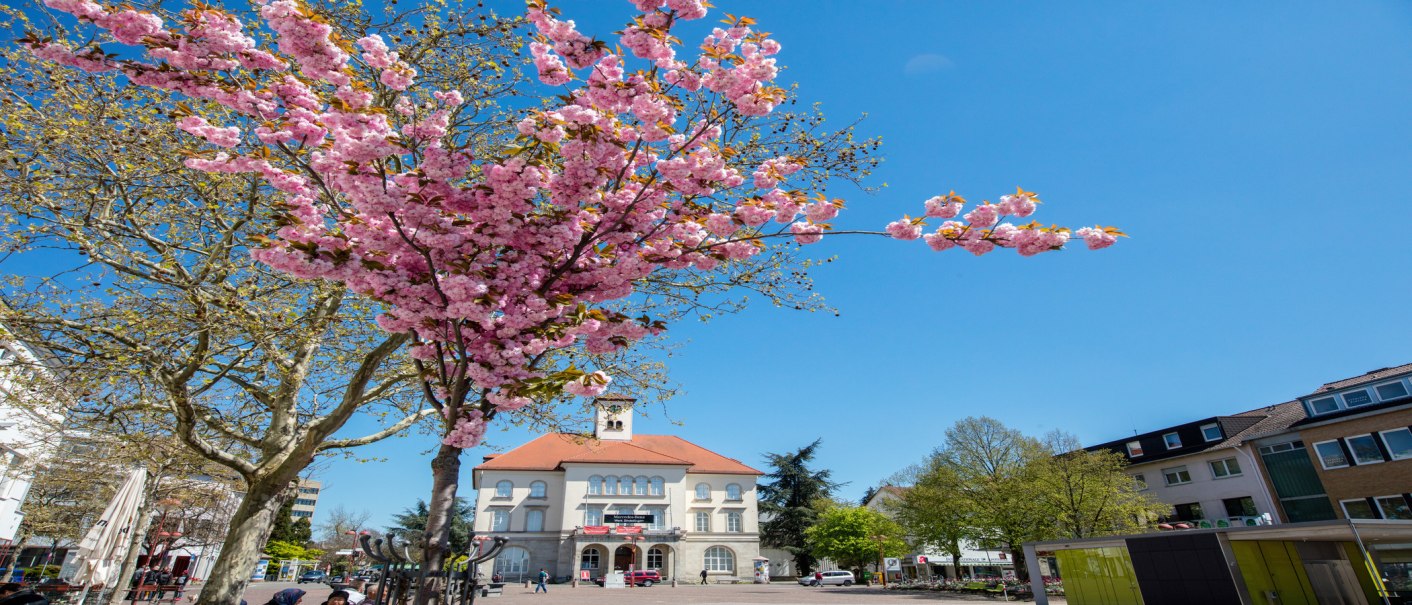 Das Rathaus von Sindelfingen mit einem blühenden Kirschbaum im Vordergrund unter klarem, blauem Himmel., © © Stuttgart-Marketing GmbH Das Rathaus von Sindelfingen mit einem blühenden Kirschbaum im Vordergrund unter klarem, blauem Himmel., © © Stuttgart-Marketing GmbH