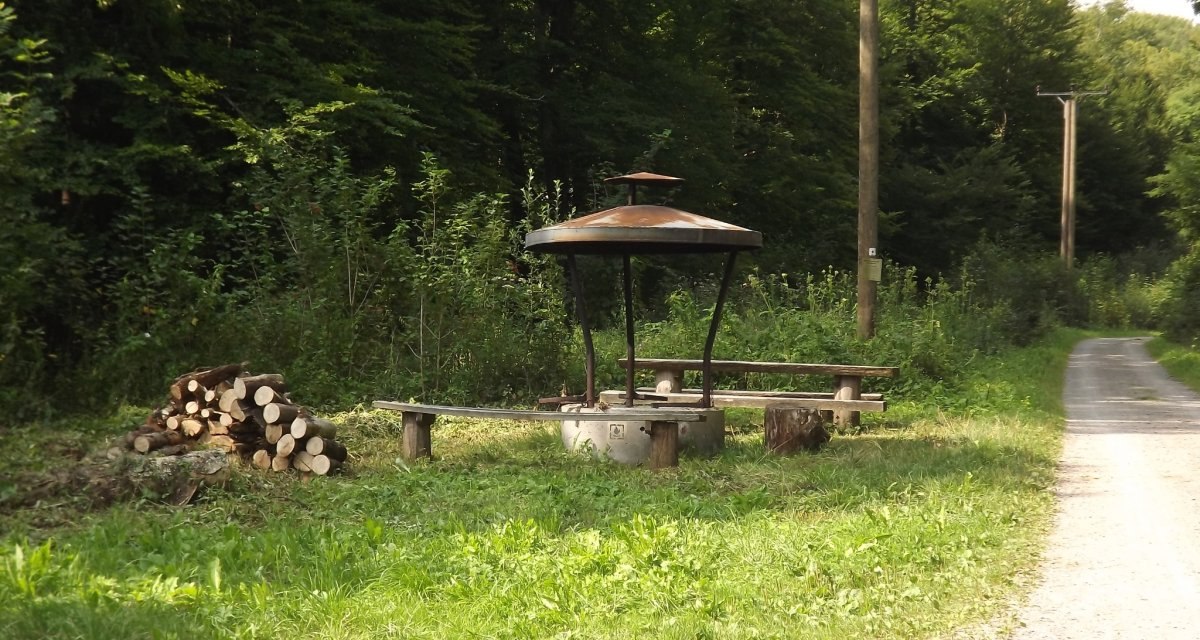 Ein Grillplatz mit Holzbänken und einem Holzstapel am Rand eines Waldwegs, umgeben von dichtem Wald., © Natur.Nah. Schönbuch & Heckengäu Ein Grillplatz mit Holzbänken und einem Holzstapel am Rand eines Waldwegs, umgeben von dichtem Wald., © Natur.Nah. Schönbuch & Heckengäu