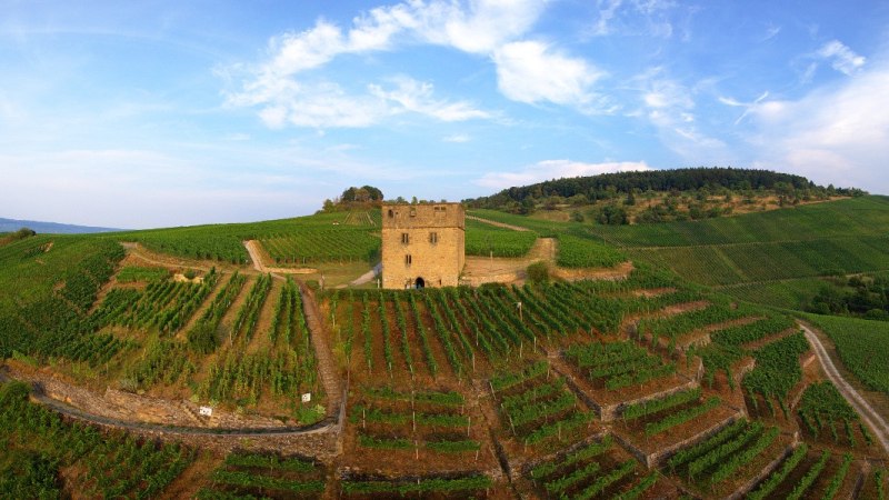 Die Y-Burg in Kernen im Remstal, umgeben von grünen Weinbergen unter blauem Himmel., © Stuttgart-Marketing GmbH Die Y-Burg in Kernen im Remstal, umgeben von grünen Weinbergen unter blauem Himmel., © Stuttgart-Marketing GmbH