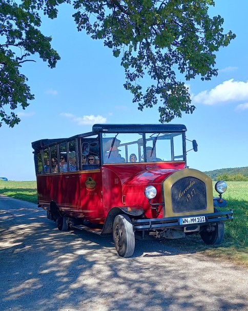 Wein-_und_Genuss_mit_dem_Oldiebus-Foto_Lohfink, © Günther Lohfink Wein-_und_Genuss_mit_dem_Oldiebus-Foto_Lohfink, © Günther Lohfink