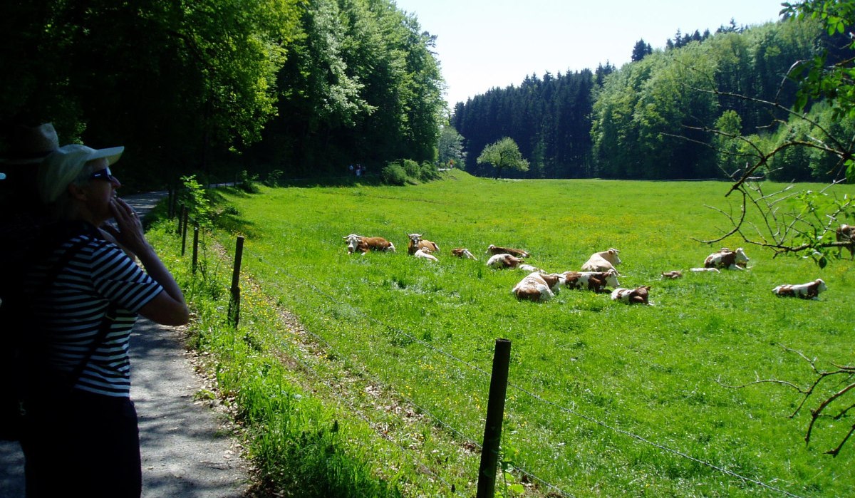 © Natur.Nah. Schönbuch & Heckengäu