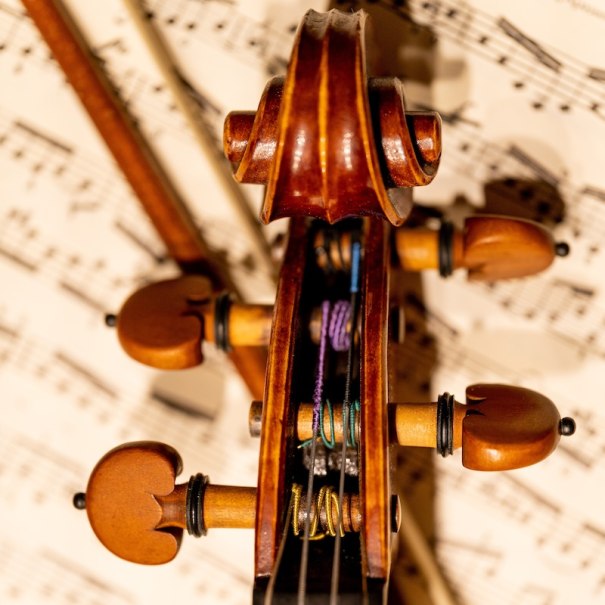 Serenadenkonzert NKO, © Nürtinger Kammerorchester Serenadenkonzert NKO, © Nürtinger Kammerorchester