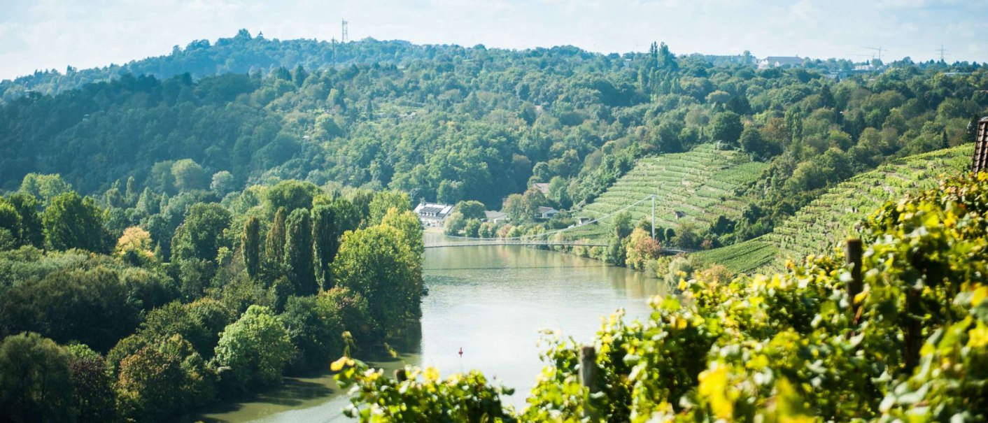 Blick auf eine Flusslandschaft mit einer Schleife, umgeben von grünen Weinbergen und dichtem Wald., © Weingut Zaißerei Blick auf eine Flusslandschaft mit einer Schleife, umgeben von grünen Weinbergen und dichtem Wald., © Weingut Zaißerei