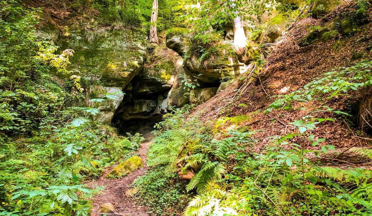 Ein Waldpfad führt zu einer Felsformation mit Höhle, umgeben von dichtem Grün und Farnen., © agentur arcos/Niki Eilers Ein Waldpfad führt zu einer Felsformation mit Höhle, umgeben von dichtem Grün und Farnen., © agentur arcos/Niki Eilers