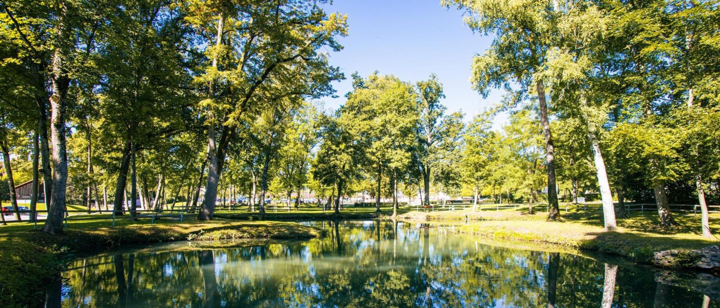 Ein idyllischer Park mit einem Teich, umgeben von hohen Bäumen und klarem Himmel. Die Natur spiegelt sich im Wasser wider., © Stuttgart-Marketing GmbH, Sarah Schmid