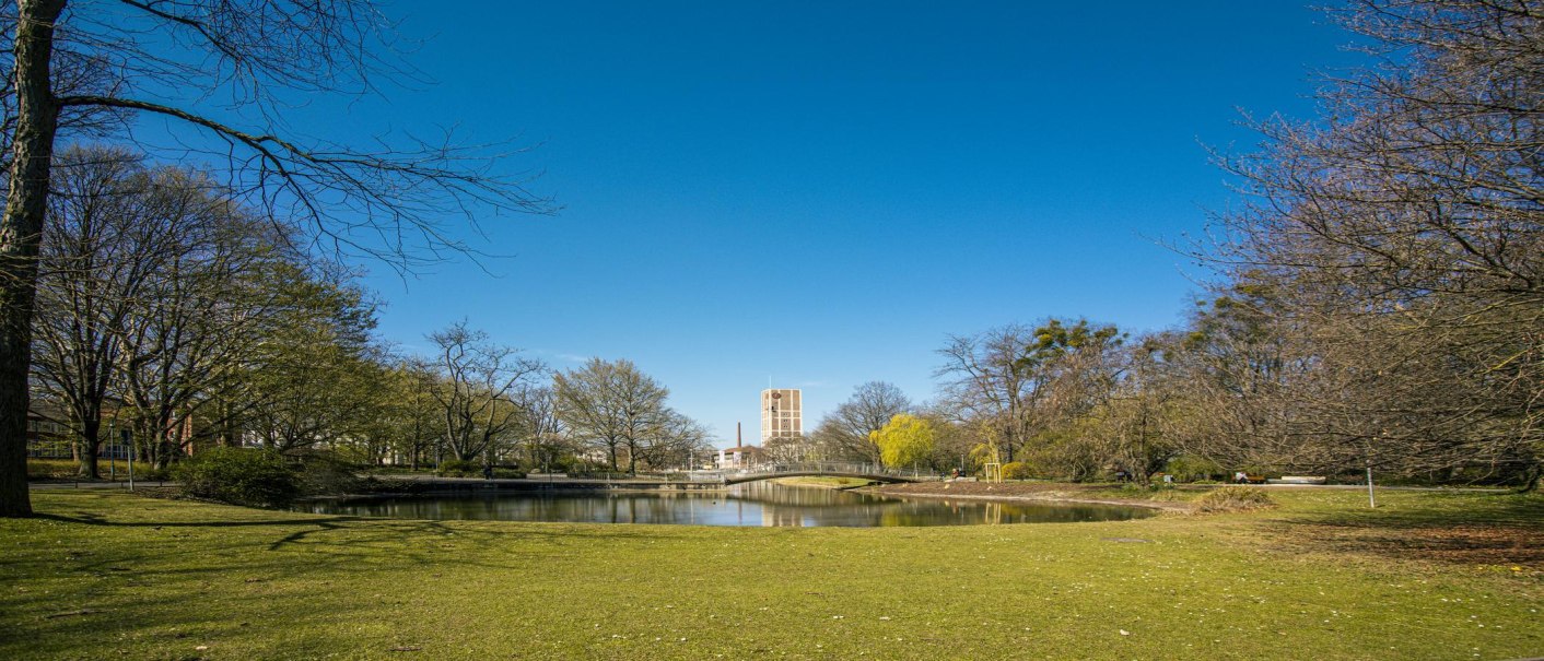 Ein Park mit einem Teich, umgeben von Bäumen. Im Hintergrund ist ein hohes Gebäude zu sehen, der Himmel ist klar und blau., © SMG, Sarah Schmid Ein Park mit einem Teich, umgeben von Bäumen. Im Hintergrund ist ein hohes Gebäude zu sehen, der Himmel ist klar und blau., © SMG, Sarah Schmid