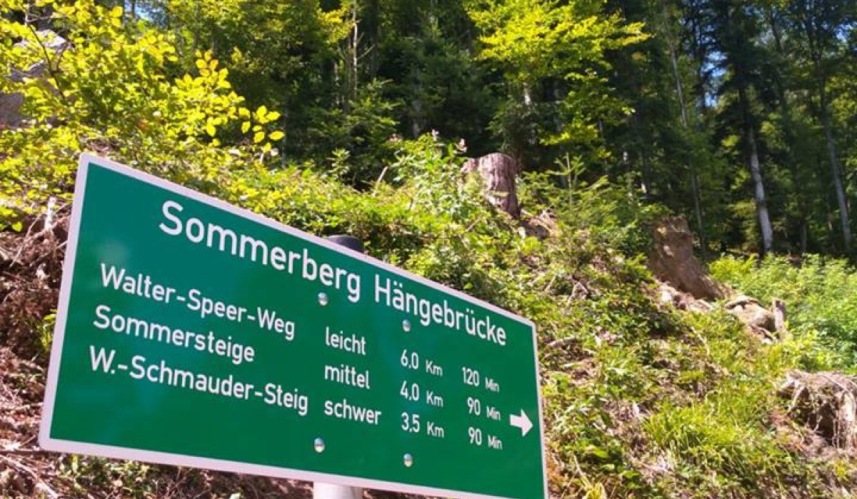 Wegweiser zur Sommerberg Hängebrücke im Wald. Drei Wanderwege: Walter-Speer-Weg (leicht), Sommersteige (mittel), W-Schmauder-Steig (schwer)., © Nördlicher Schwarzwald Wegweiser zur Sommerberg Hängebrücke im Wald. Drei Wanderwege: Walter-Speer-Weg (leicht), Sommersteige (mittel), W-Schmauder-Steig (schwer)., © Nördlicher Schwarzwald