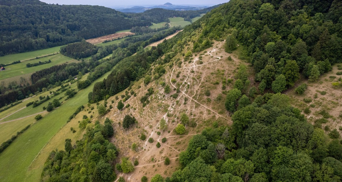 Luftaufnahme eines bewaldeten Hügels mit Wanderwegen. Im Vordergrund grüne Felder, im Hintergrund weitere Hügel und Wälder., © Foto Thomas Zehnder