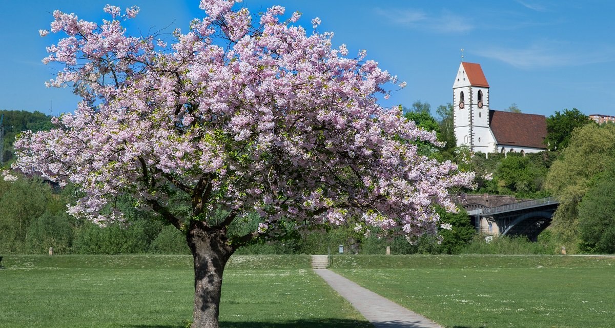 Landschaftspark Bruckenwasen, &copy; Kulturamt Plochingen