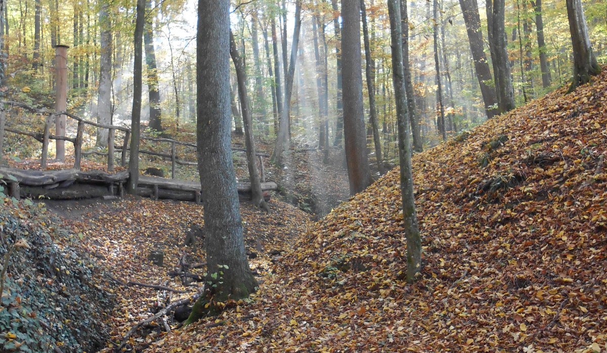 Herbstlicher Wald im Aichenbachtal mit Sonnenstrahlen, die durch die Bäume scheinen. Ein kleiner Bach fließt durch das Laub. Herbstlicher Wald im Aichenbachtal mit Sonnenstrahlen, die durch die Bäume scheinen. Ein kleiner Bach fließt durch das Laub.
