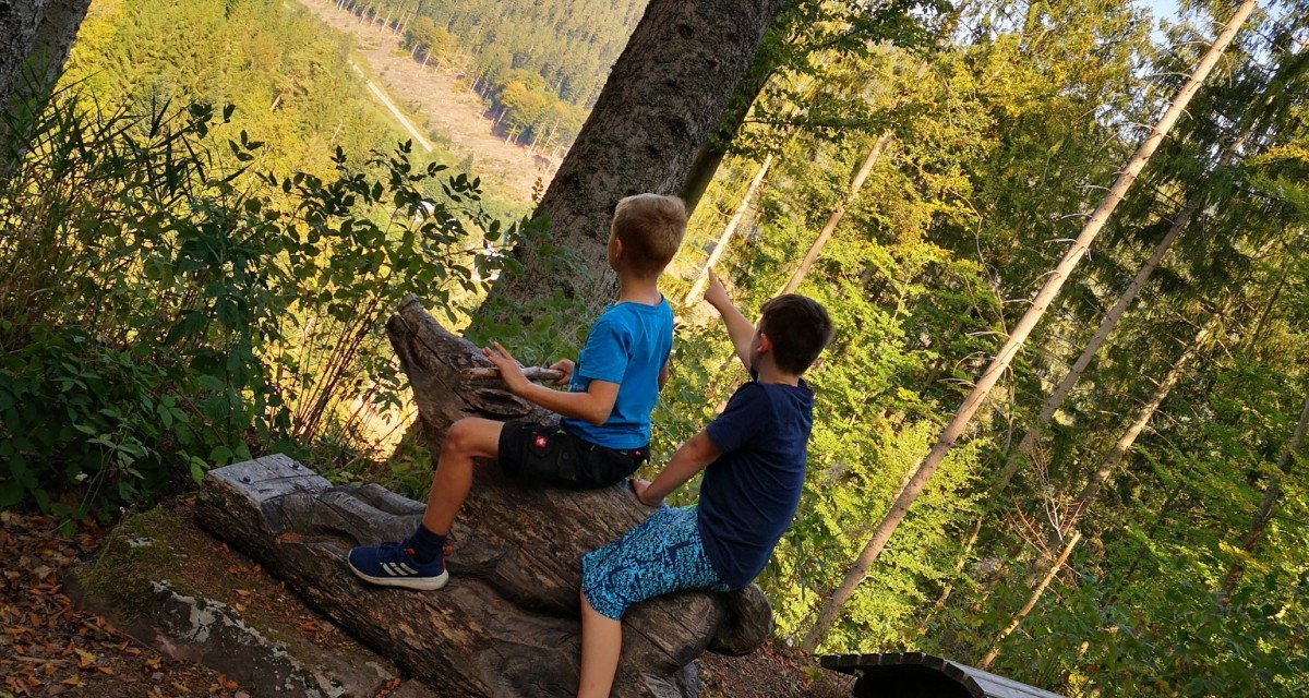 Zwei Kinder sitzen auf einer Holzskulptur im Wald und schauen in die Ferne. Umgeben von Bäumen, mit Blick auf eine bewaldete Landschaft., © Nördlicher Schwarzwald
