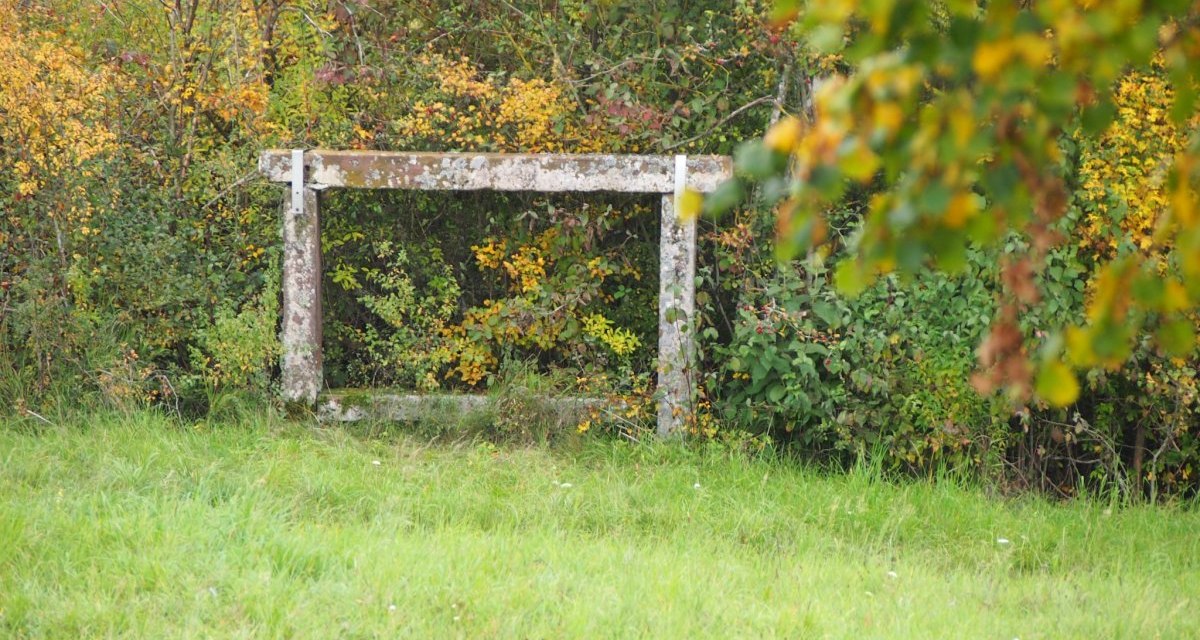 eine Grubbank, &copy; Natur.Nah. Sch&ouml;nbuch & Heckeng&auml;u