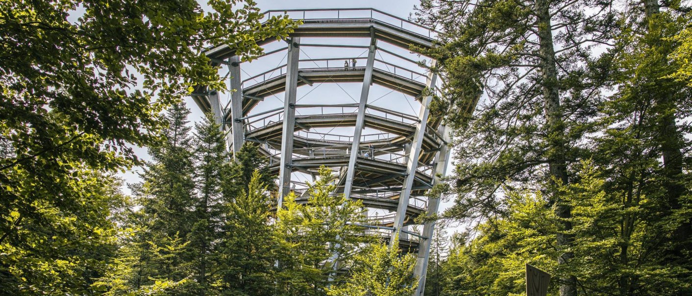 Ein spiralförmiger Aussichtsturm in Bad Wildbad ragt zwischen grünen Bäumen empor. Der Himmel ist klar und sonnig., © Stuttgart-Marketing GmbH, Sarah Schmid