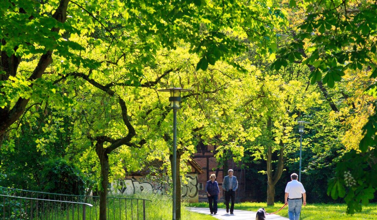 Ein sonniger Parkweg mit Menschen und einem Hund, umgeben von grünen Bäumen. Im Hintergrund ist ein Gebäude zu sehen., © WTM GmbH Waiblingen Ein sonniger Parkweg mit Menschen und einem Hund, umgeben von grünen Bäumen. Im Hintergrund ist ein Gebäude zu sehen., © WTM GmbH Waiblingen
