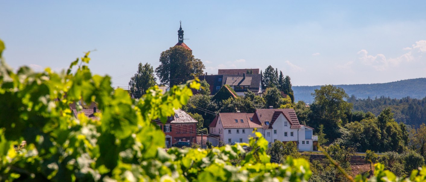 Blick auf Burg Bürg Winnenden, umgeben von Bäumen und Häusern, mit Weinreben im Vordergrund und blauem Himmel im Hintergrund., © SMG, Achim Mende