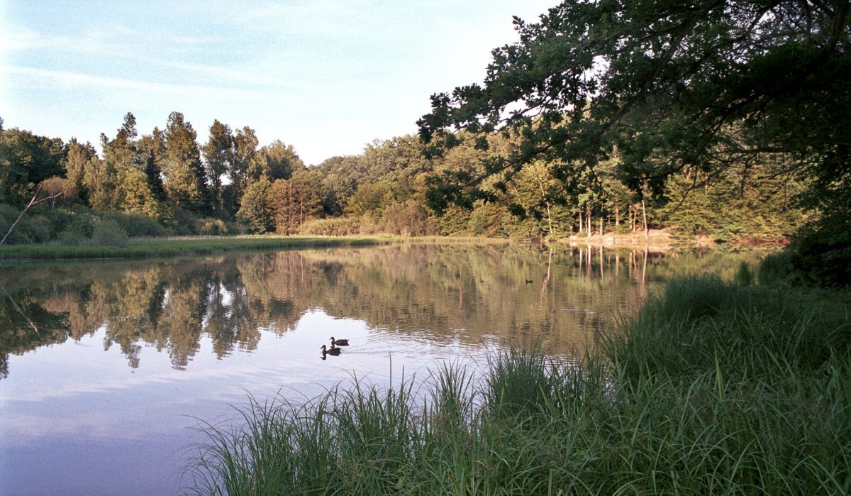 Ein idyllischer See mit Enten, umgeben von Bäumen und Gras. Die ruhige Wasseroberfläche spiegelt die Landschaft wider., © Natur.Nah. Schönbuch & Heckengäu Ein idyllischer See mit Enten, umgeben von Bäumen und Gras. Die ruhige Wasseroberfläche spiegelt die Landschaft wider., © Natur.Nah. Schönbuch & Heckengäu