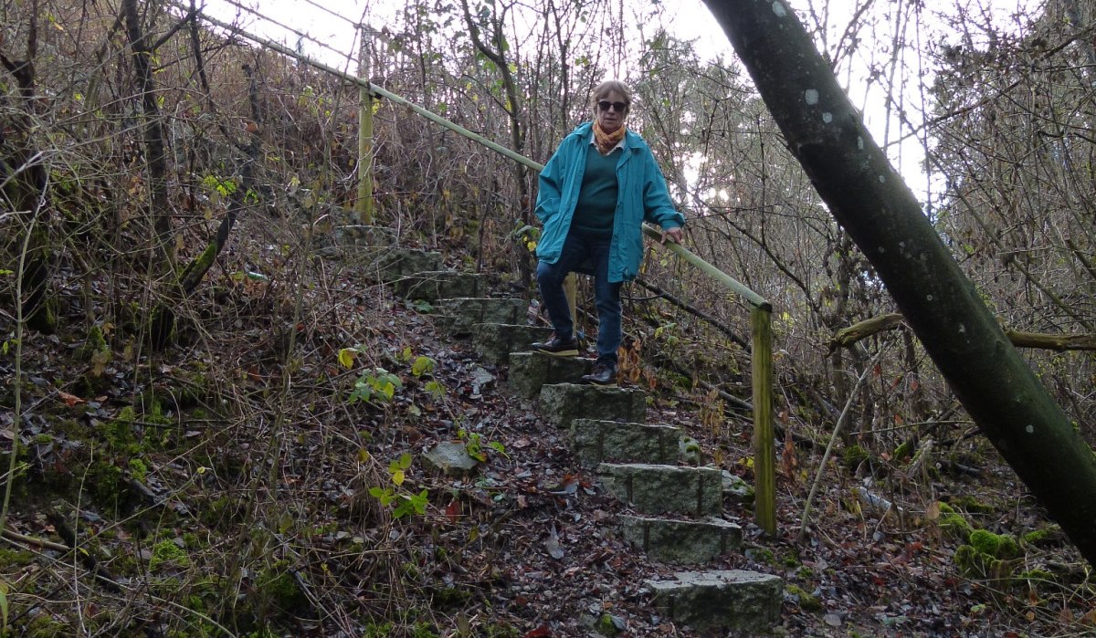 Eine Person in blauer Jacke steigt eine steinige Treppe in einem bewaldeten Gebiet hinab. Die Umgebung ist herbstlich und karg., &copy; Natur.Nah. Sch&ouml;nbuch & Heckeng&auml;u