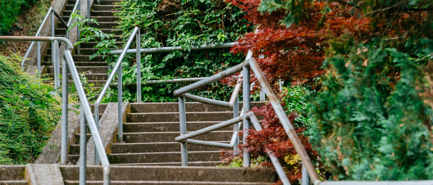 Eine lange Betontreppe mit Metallgeländern, umgeben von üppigem Grün und roten Blättern., © Thomas Niedermüller Eine lange Betontreppe mit Metallgeländern, umgeben von üppigem Grün und roten Blättern., © Thomas Niedermüller