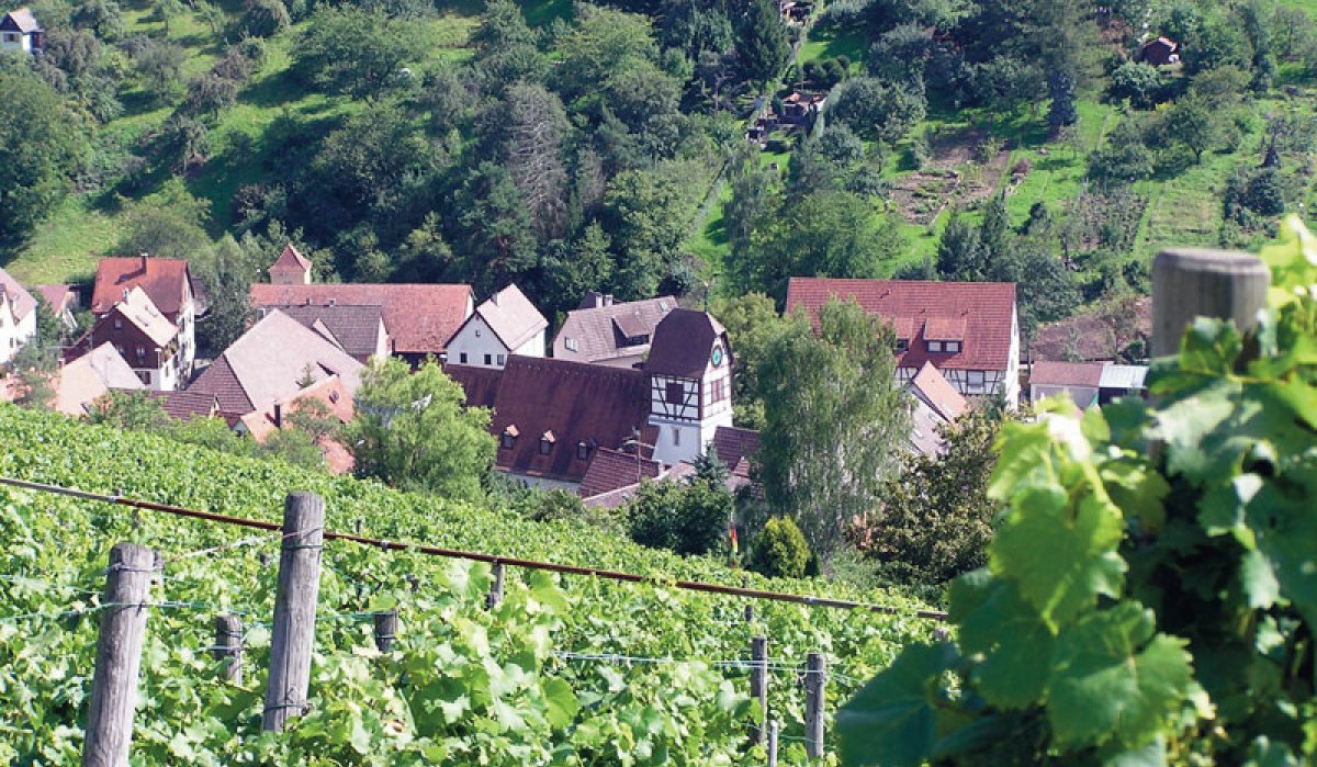 Dorf mit Fachwerkhäusern inmitten von Weinbergen und grünen Hügeln, aufgenommen vom Weinwanderweg Rohracker., © Stuttgart-Marketing GmbH Dorf mit Fachwerkhäusern inmitten von Weinbergen und grünen Hügeln, aufgenommen vom Weinwanderweg Rohracker., © Stuttgart-Marketing GmbH