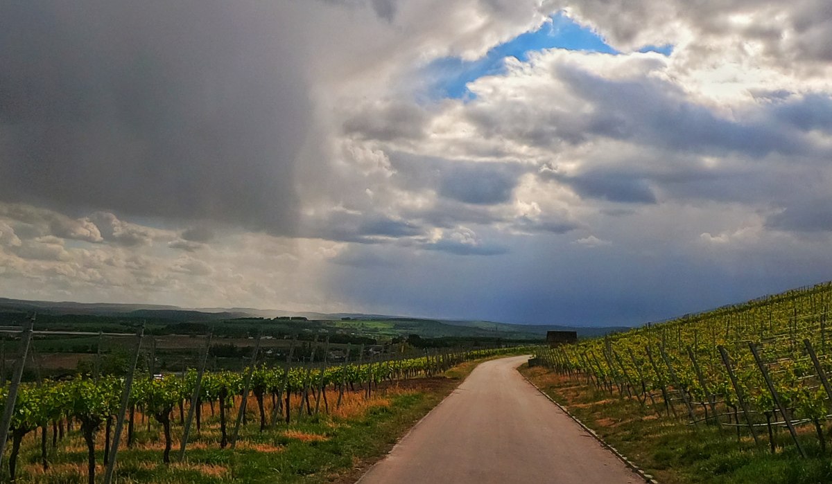 Eine schmale Straße führt durch Weinberge, während dramatische Wolken den Himmel bedecken. Ein blauer Himmel ist im Hintergrund sichtbar., © Land der 1000 Hügel - Kraichgau-Stromberg