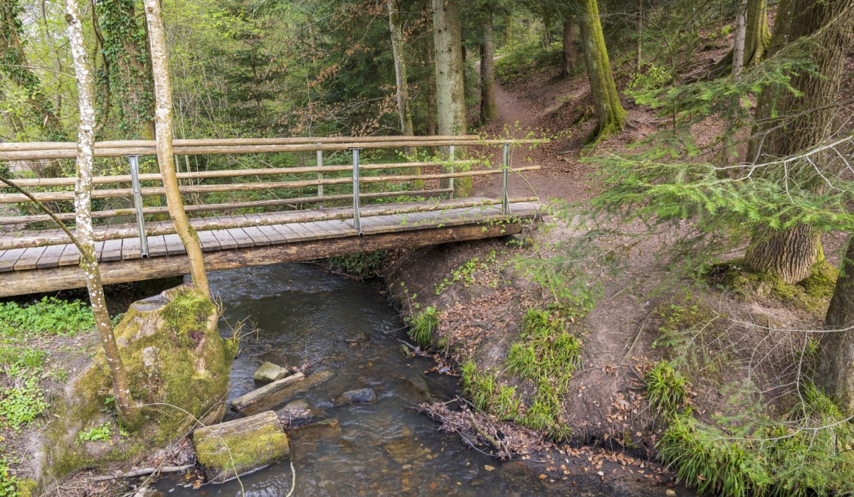 Eine kleine Holzbrücke überquert einen Bach in einem grünen Wald. Der Weg führt in den dichten Baumbestand., © Remstal Tourismus e.V. Eine kleine Holzbrücke überquert einen Bach in einem grünen Wald. Der Weg führt in den dichten Baumbestand., © Remstal Tourismus e.V.