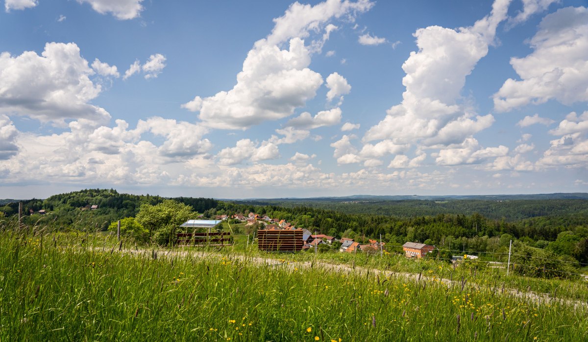 Grüne Wiese mit gelben Blumen im Vordergrund, dahinter ein Dorf und bewaldete Hügel unter blauem Himmel mit Wolken., © agentur arcos/Niki Eilers