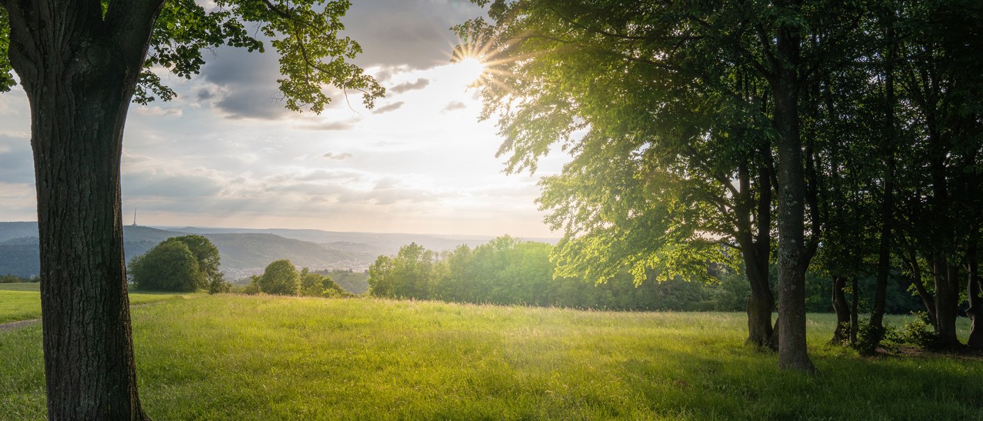 Sonnenstrahlen durchbrechen die Wolken über einer grünen Wiese, umgeben von Bäumen. Im Hintergrund sind Hügel und ein Turm sichtbar., © SMG, Martina Denker Sonnenstrahlen durchbrechen die Wolken über einer grünen Wiese, umgeben von Bäumen. Im Hintergrund sind Hügel und ein Turm sichtbar., © SMG, Martina Denker