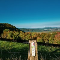 Panoramablick von der Maierhalde auf ein grünes Tal und eine Stadt in der Ferne. Ein Holzpfosten mit Wanderwegmarkierungen steht im Vordergrund., © Landkreis Göppingen Panoramablick von der Maierhalde auf ein grünes Tal und eine Stadt in der Ferne. Ein Holzpfosten mit Wanderwegmarkierungen steht im Vordergrund., © Landkreis Göppingen