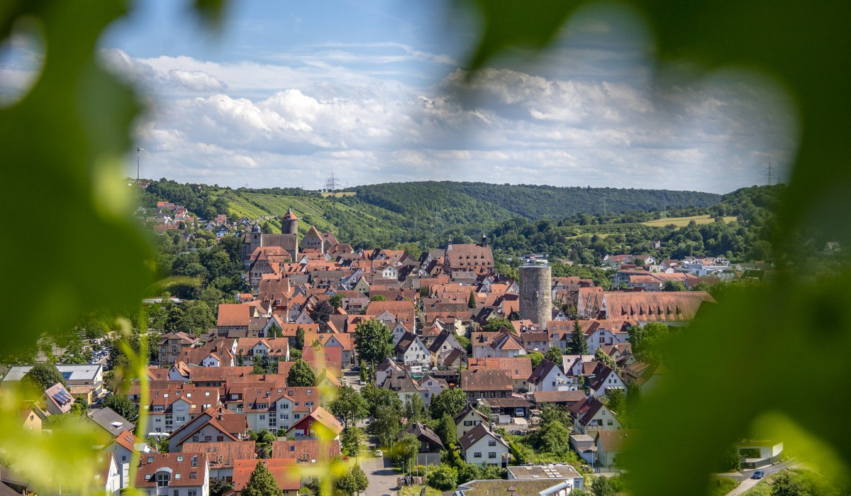 Panoramablick auf Besigheim mit roten Dächern, umgeben von grüner Landschaft und Hügeln, durch Blätter im Vordergrund eingerahmt., © Achim Mende Panoramablick auf Besigheim mit roten Dächern, umgeben von grüner Landschaft und Hügeln, durch Blätter im Vordergrund eingerahmt., © Achim Mende